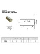 HIDRAULIKUS ZUHANÁSGÁTLÓ 1/4" BB 